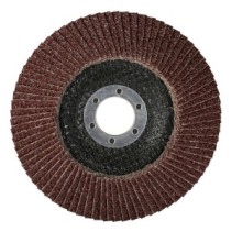 Ściernica listkowa talerzowa PRO-X